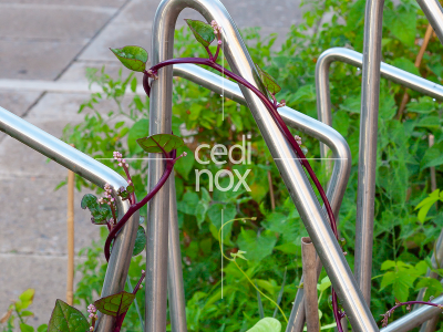 Copia de 16_OpenFields_MQ_Vienna_2023