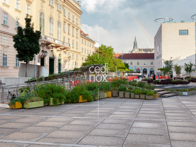 Copia de 7_OpenFields_MQ_Vienna_2023