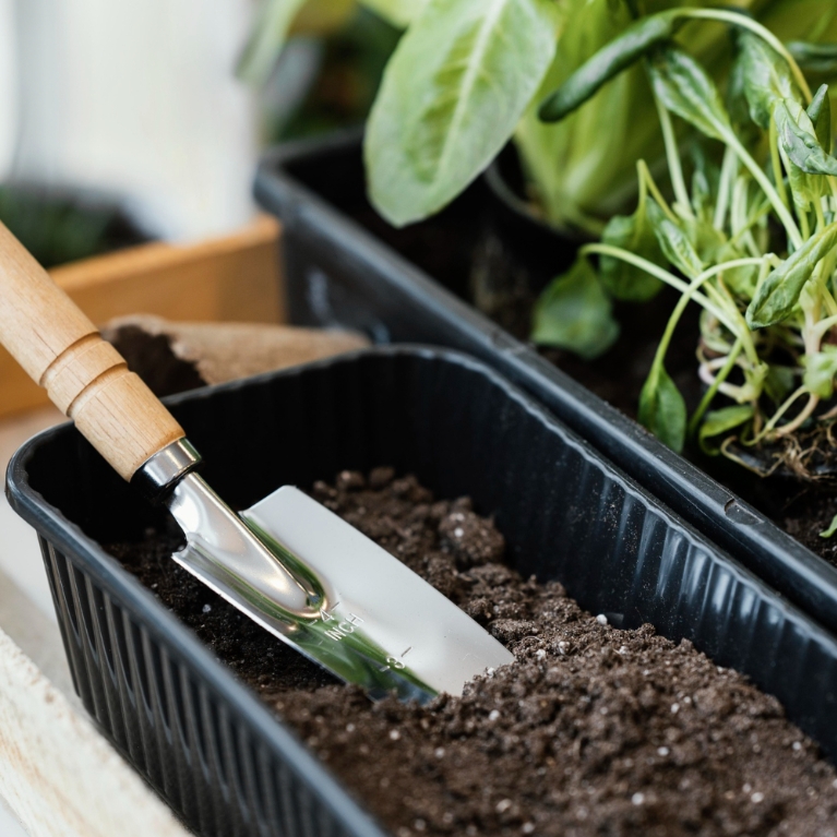pala_jardineria_inox